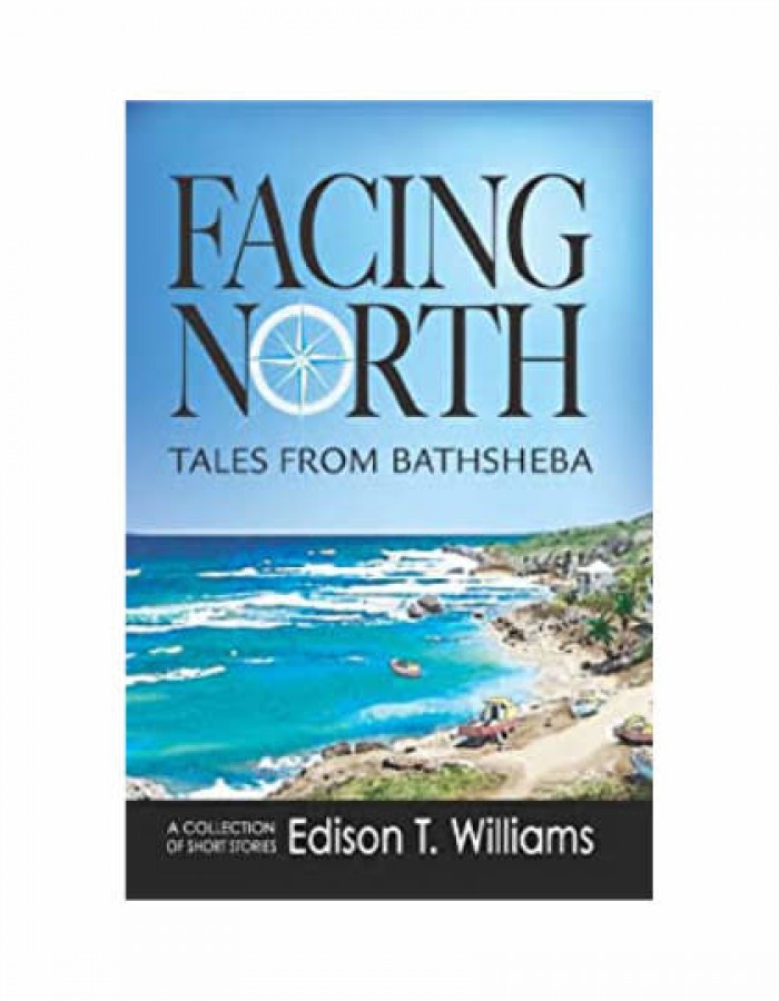 ShopBBMall.com: Facing North: Tales From Bathsheba